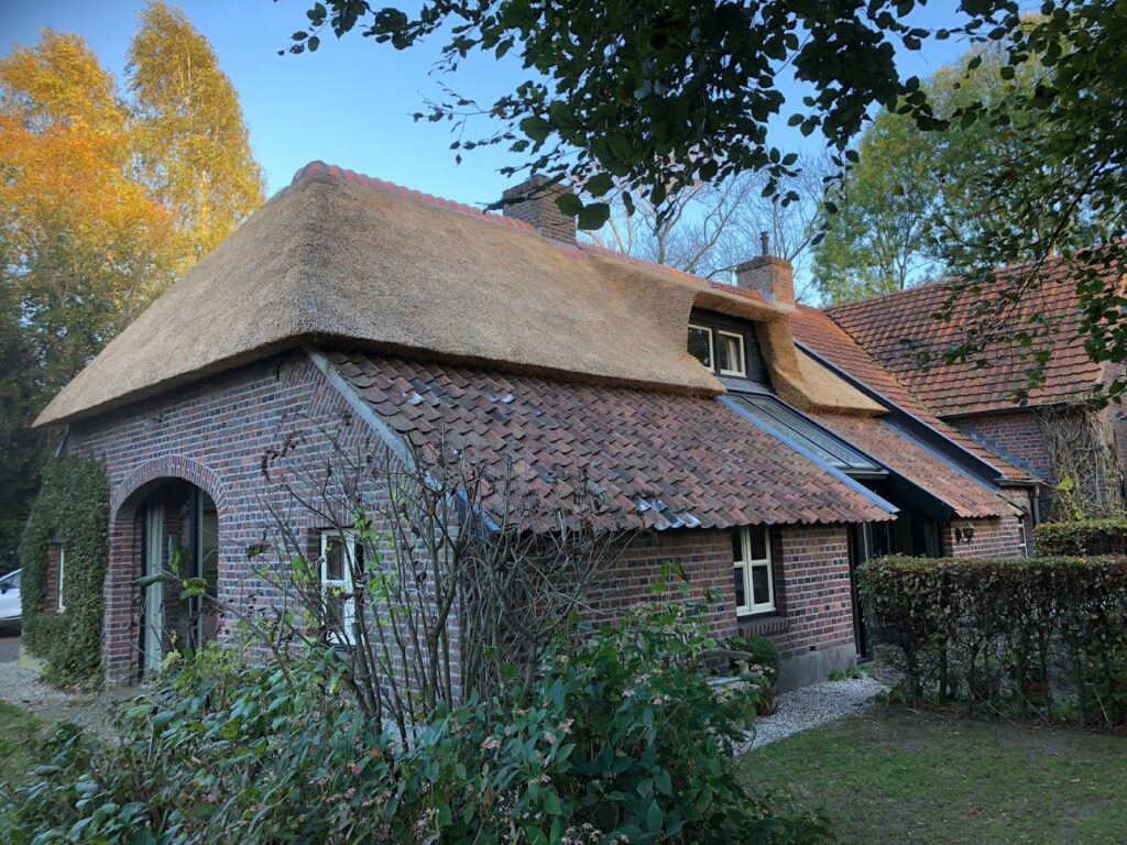 Csabi Rietdekkersbedrijf Woerden