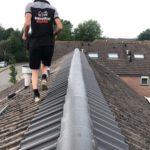 Dakspecialist Nederland
