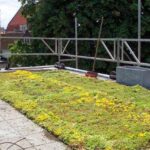 Huismandak BV Beverwijk