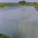 Lekkageoplossingen.nl Wierden