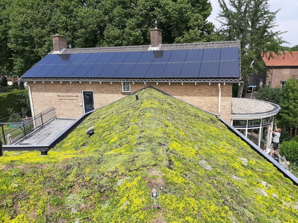 Rieken Groendaken | Dakdekker Nijmegen | Groendak aan laten leggen | Dakwerkzaamheden | Sedumdak aan laten leggen | Gassel