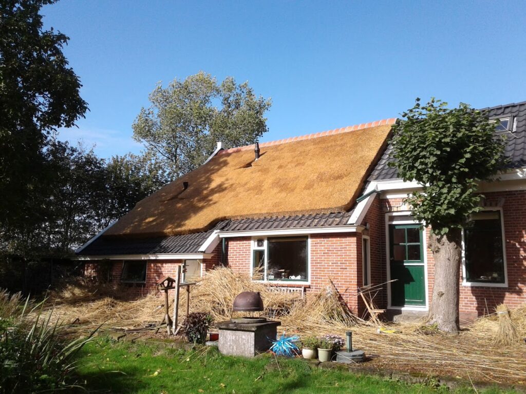 Rietdekkersbedrijf Drenth (RBD) Westerlee