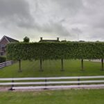 Rietdekkersbedrijf G. Harms V.O.F. Eext