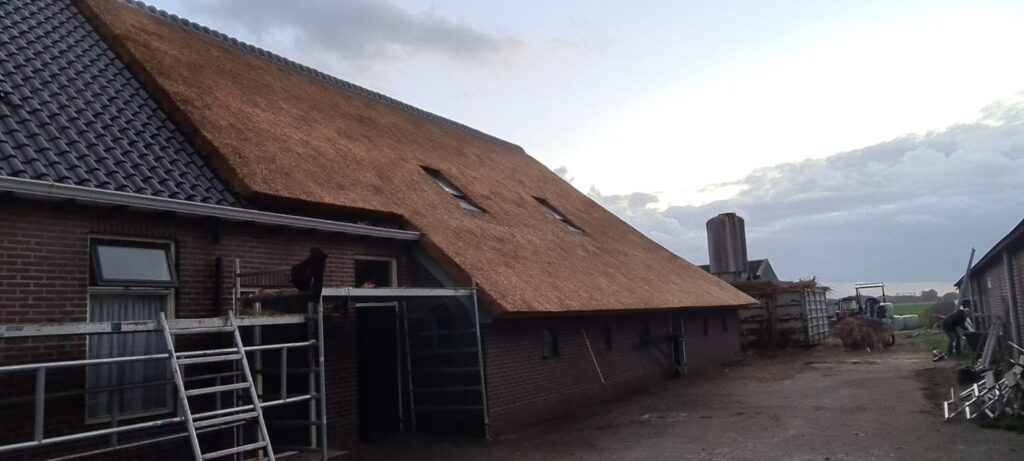 Rietdekkersbedrijf Gary Klein Veeningen