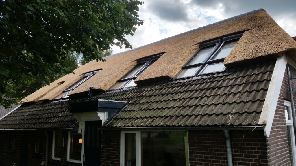 Rietdekkersbedrijf Kleinjan B.V. Daarle