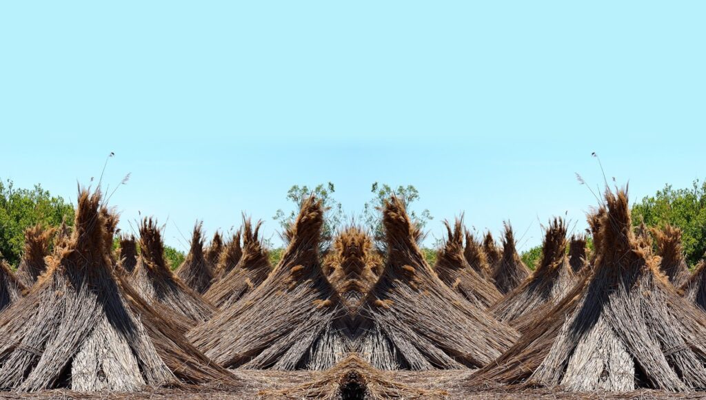 Rietdekkersbedrijf van der Ende B.V. Berkenwoude