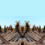 Rietdekkersbedrijf van der Ende B.V. Berkenwoude