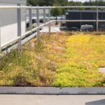 Roofwatcher bv dakdekker Zeeland