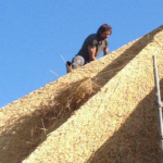 Van den Berg Rietdekker Nieuwleusen